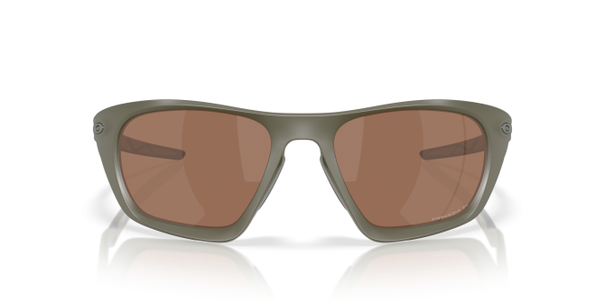 Lateralis Latitude Collection - Image 2